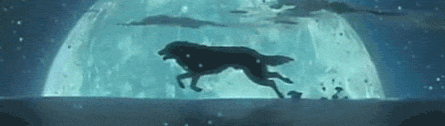 Running-wolf-Wolf-s-Rain-wolves-13476164-445-126_zps7fe94270.gif.3955530c86df0a24e8c9866928a6488a.gif