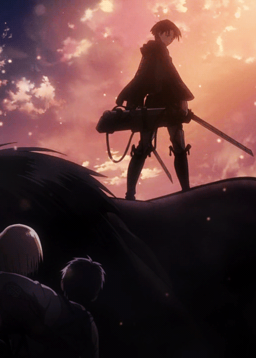 levi-OLD-2025
