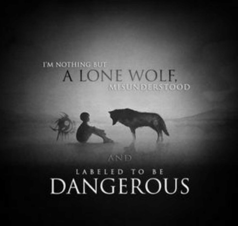 5d8f4daca8dc0_im-nothing-but-a-lone-wolf-musunderstood-and-labeled-to-50730607(2).jpg.853e2bb56b06afde17dcc492a8fdff2c.jpg