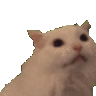 Aslix