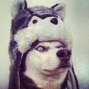 Wolfyy