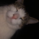 Mochette