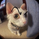 CRY