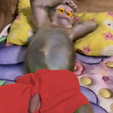 VashTryhard